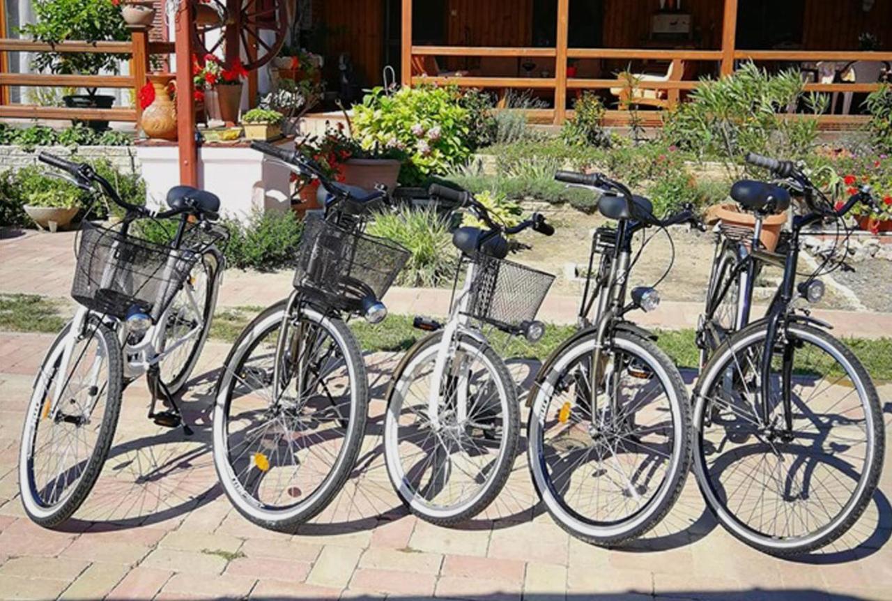 Gemenc Vendeghaz Hotel Hercegszanto Buitenkant foto